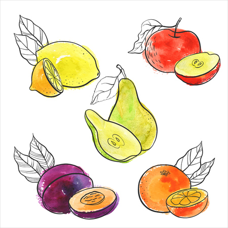vector drawing illustration of fruits like apple and pearのイラスト素材