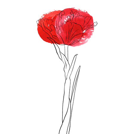 vector drawing flower of tulip on white background.のイラスト素材