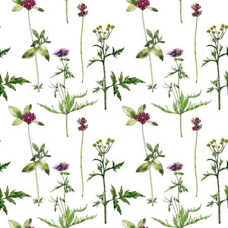 seamless pattern with watercolor drawing flowers and plantsの写真素材