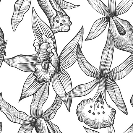 vintage vector floral seamless pattern with orchids flowers, imitation of engraving, hand drawn backgroundのイラスト素材