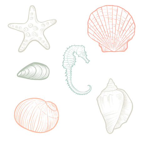 hand drawn vector seashellsのイラスト素材