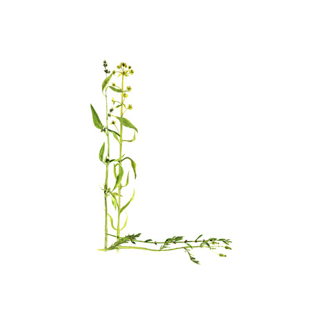 floral watercolor letter Lの写真素材