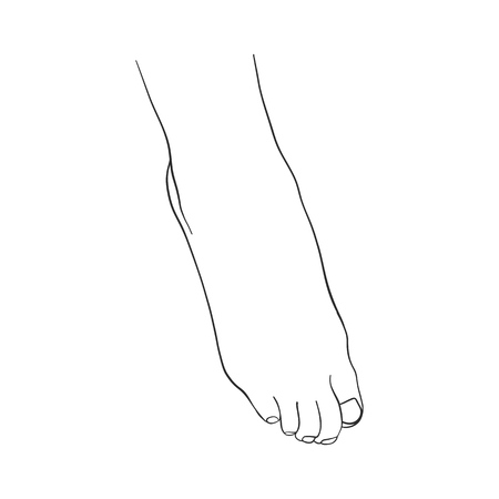 hand drawn women footのイラスト素材