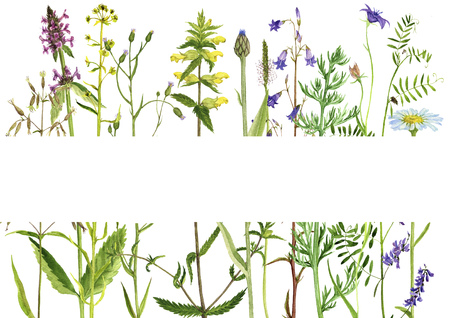 Template with watercolor flowersの写真素材