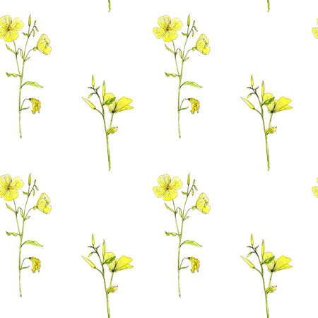 seamless pattern with flowers and plantsの写真素材