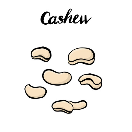 vector drawing cashewのイラスト素材