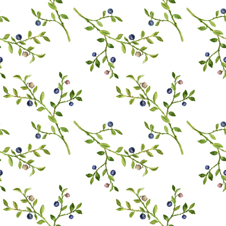 Seamless pattern with drawing plant of blueberriesの写真素材