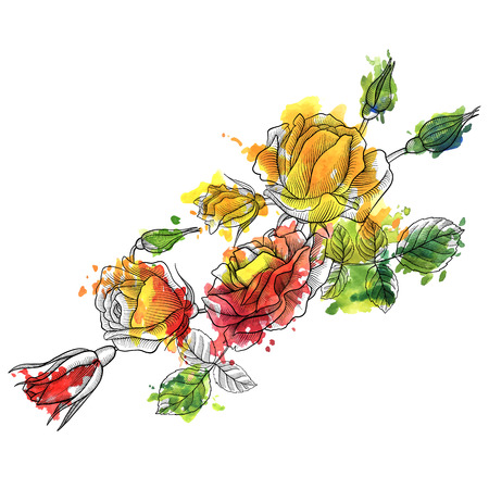 vintage vector floral compositionのイラスト素材