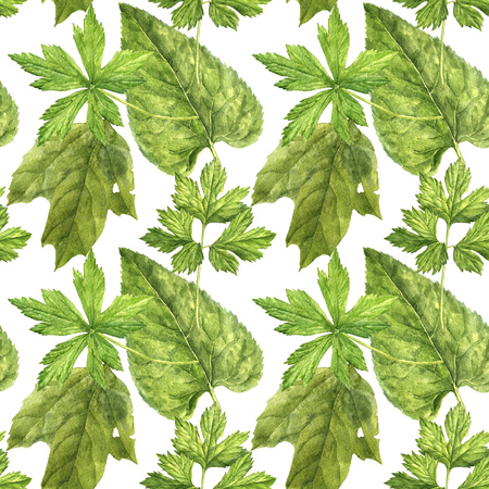 watercolor seamless pattern with green leavesの写真素材