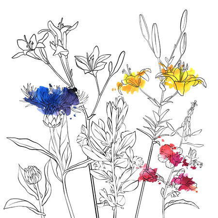 vector drawing flowers, floral background, hand drawn botanical illustrationのイラスト素材