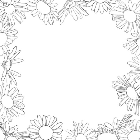 vector frame with drawing daisy flowers, floral template, hand drawn botanical illustrationのイラスト素材