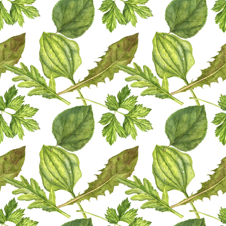 Watercolor seamless pattern with green leavesの写真素材