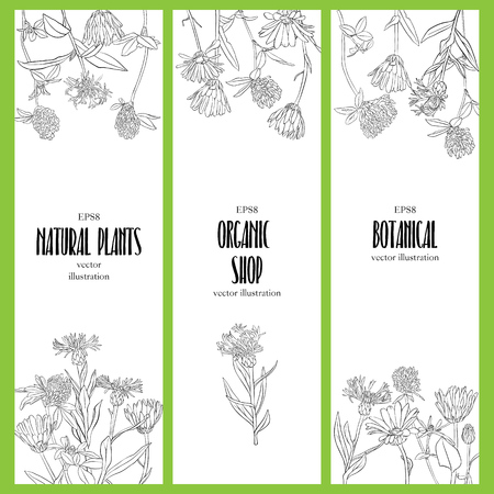 Vector design template with wild flowers, floral wedding invitation, thank you card or flyerのイラスト素材