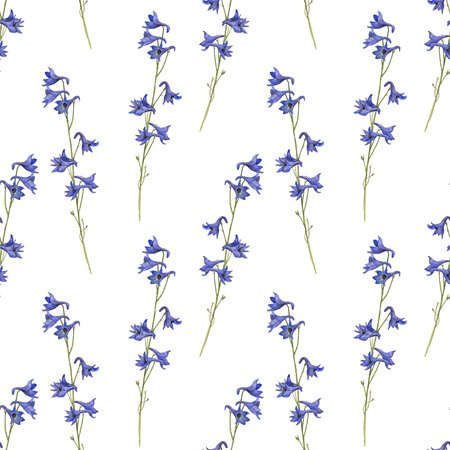 seamless pattern with watercolor drawing plantsの写真素材
