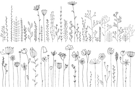 Vector doodle abstract drawing herbs and flowers, floral elementsのイラスト素材