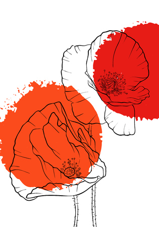 vector drawing poppy flowers with paint stains, floral composition, hand drawn illustrationのイラスト素材