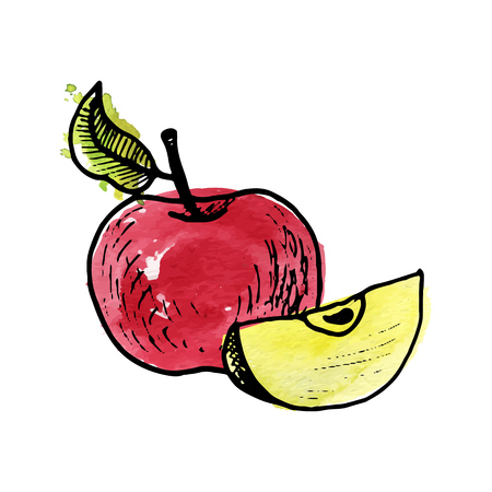 vector ibk drawing apple with watercolor paint stains, hand drawn illustration, vintage fruitsのイラスト素材