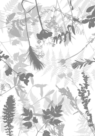 Vector template with leaves and plants silhouettes, floral backgroundのイラスト素材