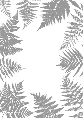 Vector green background with silhouette of fern leaves, botanical illustration, natural floral templateのイラスト素材
