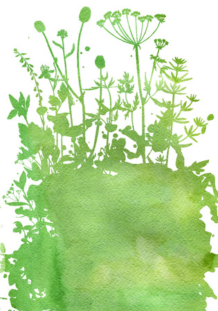 Background with drawing herbs and flowersの写真素材