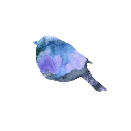 watercolor bird silhouetteの写真素材