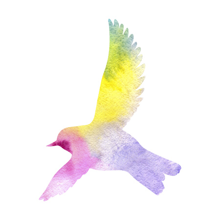 Watercolor flying birdの写真素材