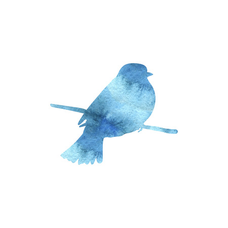 bird at tree branchの写真素材