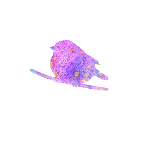 bird at tree branchの写真素材