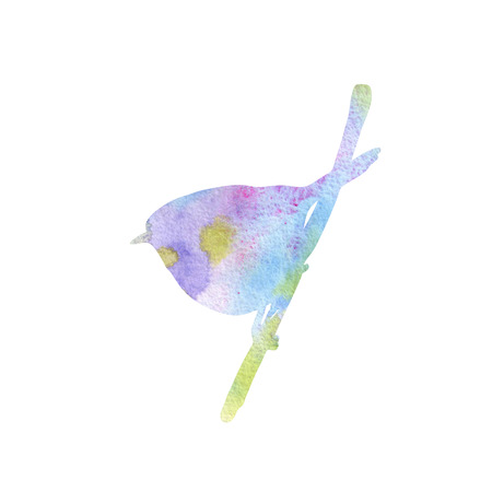 bird at tree branchの写真素材