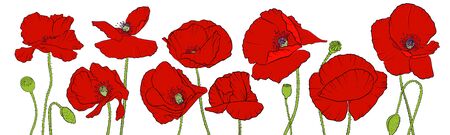 vector drawing flowers, floral composition, hand drawn art illustrationのイラスト素材