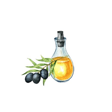 watercolor drawing olive oilの写真素材