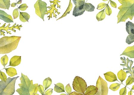 background with watercolor drawing leaves, painted botanical illustration, hand drawn floral template for gift card, cover designの写真素材