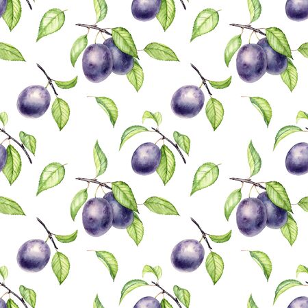 seamless pattern with branches of plumの写真素材