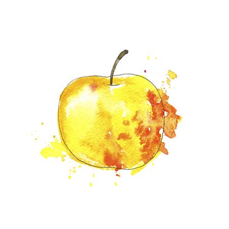 watercolor drawing yellow apple with paint splashes, hand drawn illustrationの写真素材