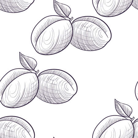 vector drawing seamless pattern with apricots, hand drawn illustrationのイラスト素材