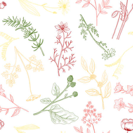 vector drawing floral vintage seamless patternのイラスト素材