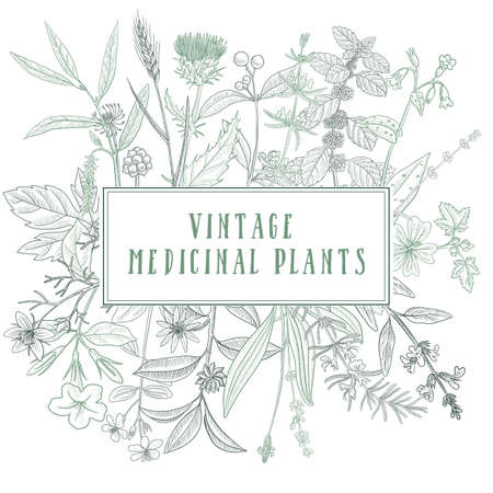 vector drawing floral vintage templateのイラスト素材