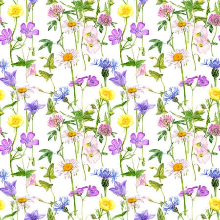 watercolor drawing flowersの写真素材