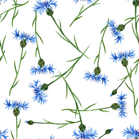 seamless pattern with watercolor drawing cornflower flowersの写真素材
