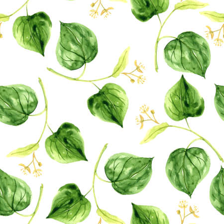 watercolor seamless pattern with drawing linden branchの写真素材