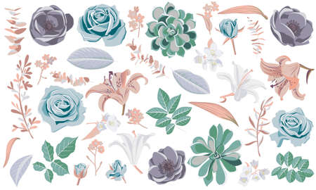 vector floral setのイラスト素材