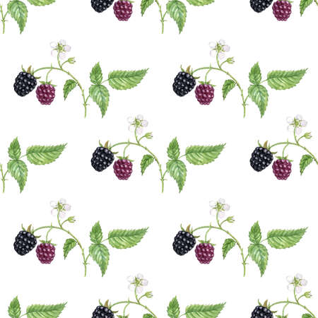 watercolor seamless pattern with blackberry