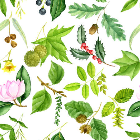 watercolor seamless pattern with drawing branches of treesの写真素材