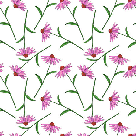vector seamless pattern with drawing purple coneflowerのイラスト素材