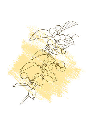 vector drawing floral posterのイラスト素材