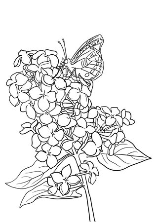 vector drawing natural background with flowering lilacのイラスト素材