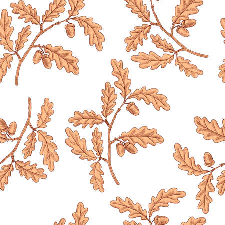 vector drawing seamless pattern with branch of oak treeのイラスト素材