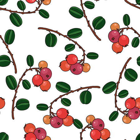 vector seamless pattern with drawing lingonberryのイラスト素材