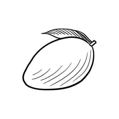 vector drawing mango, sketch of fruitのイラスト素材