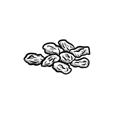 vector drawing raisin at white backgroundのイラスト素材